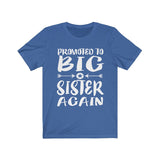Promoted To Big Sister Again Shirt, Big Sister Announcement, Big Sister Again Gift T-Shirt Image 4
