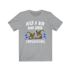 Just a boy who loves compsognathus tiny Jurassic theropod tee