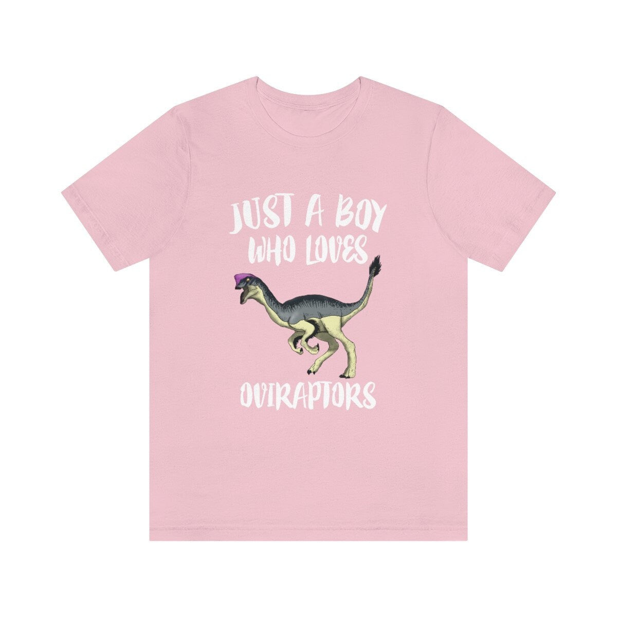 Just A Boy Who Loves Oviraptors Dinosaur Shirt - Oviraptor print design