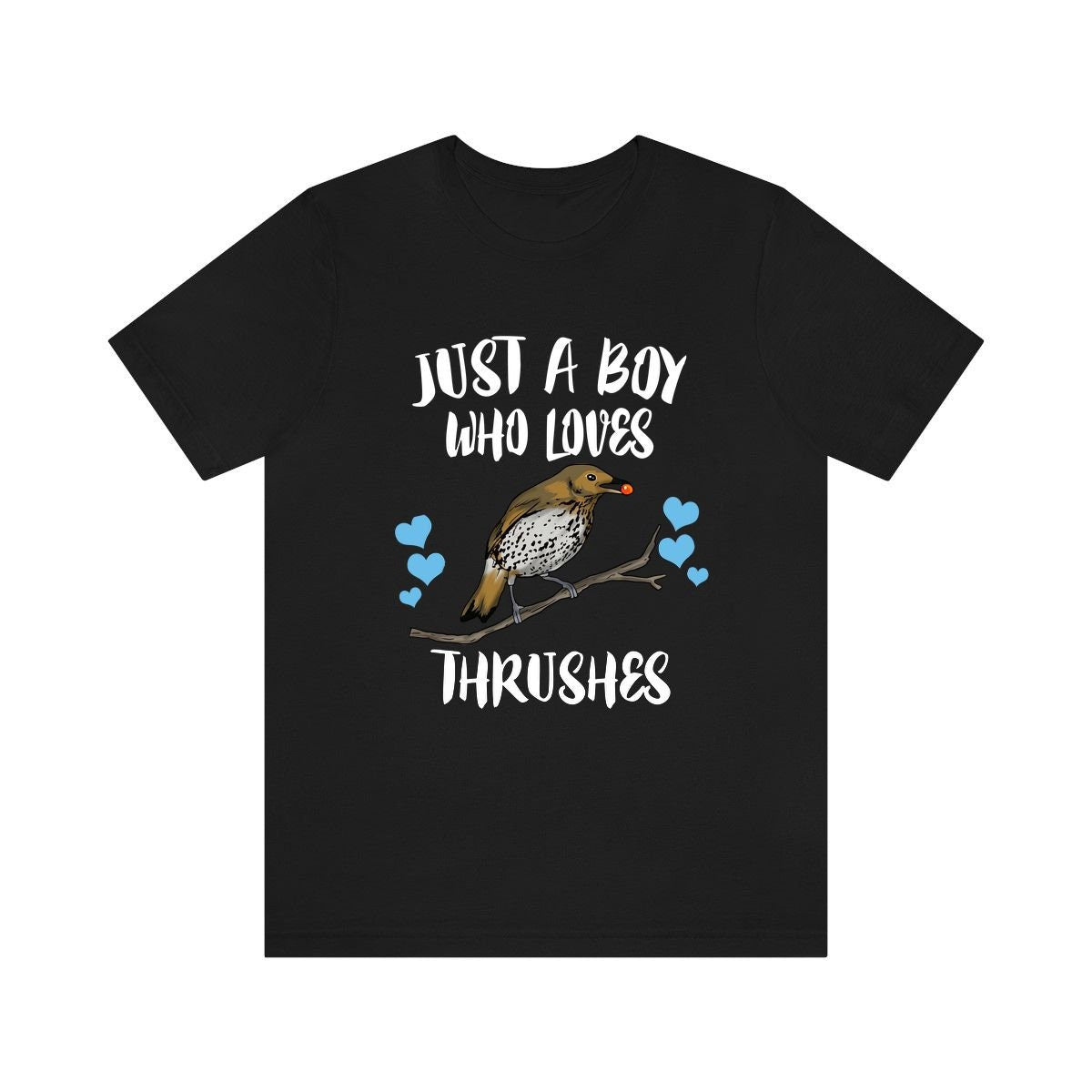 Just A Boy Who Loves Thrushes Shirt, Thrush Lover Shirt, Birding Shirt, Bird Lover Gift, Animal Adult Kids T-Shirt Image 1