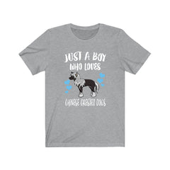 Just A Boy Who Loves Chinese Crested Dogs Shirt - Chinese Crested print design