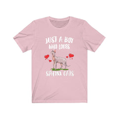 Just A Boy Who Loves Sphynx Cats Shirt - Sphynx cat print design