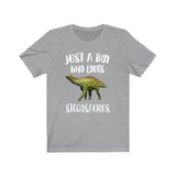 Just A Boy Who Loves Stegosaurus Dinosaur Shirt, Stegosaurus Shirt, Dinosaur Shirt, Dinosaur Lover Gift, Animal Adult Kids T-Shirt Image 2