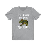 Just A Boy Who Loves Allosaurus Dinosaur Shirt, Allosaurus Shirt, Dinosaur Shirt, Dinosaur Lover Gift, Animal Adult Kids T-Shirt Image 1