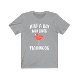 Just A Boy Who Loves Flamingos Shirt, Flamingo Lover Shirt, Flamingo Shirt, Flamingo Lover Gift, Animal Adult Kids T-Shirt Image 1
