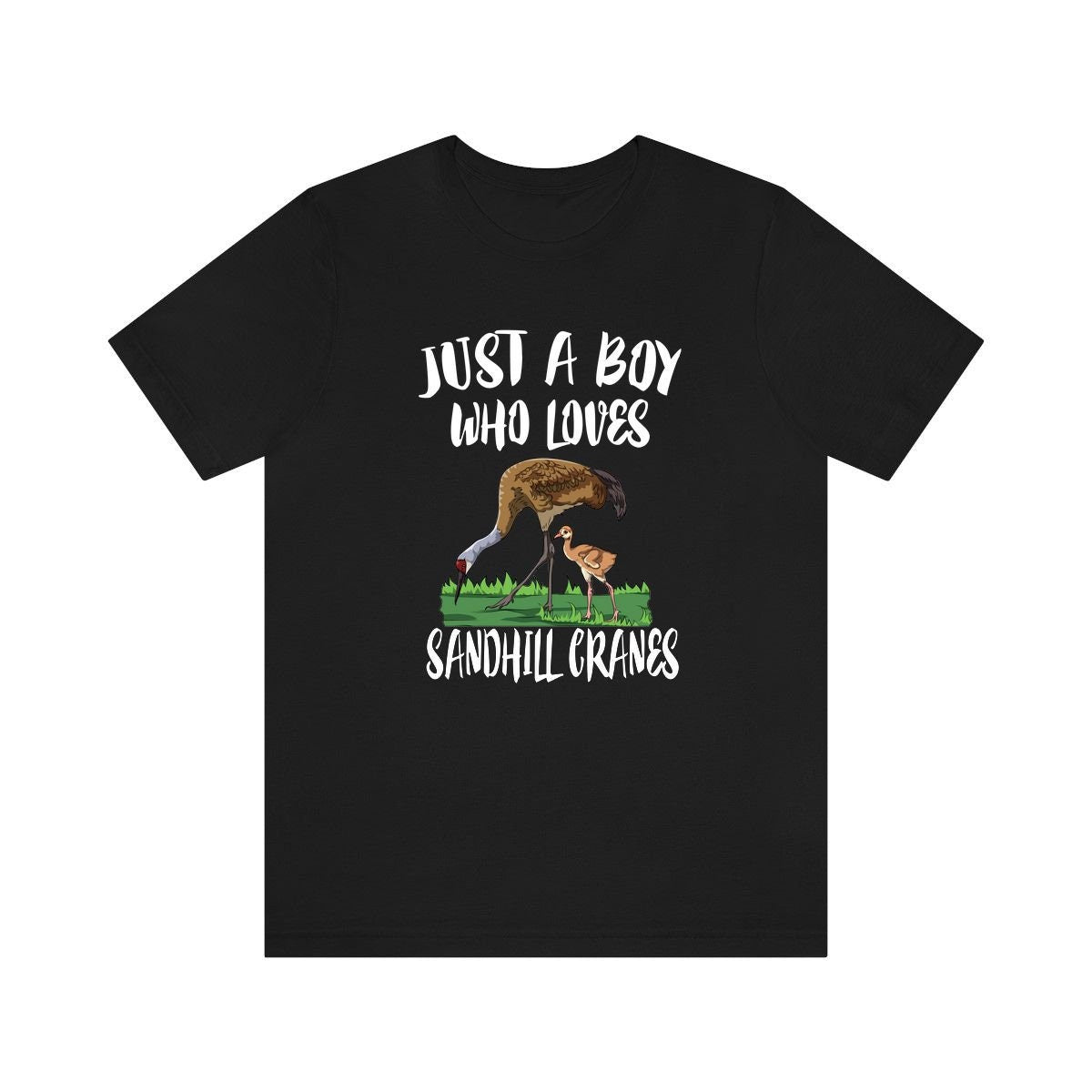 Just A Boy Who Loves Sandhill Cranes Shirt, Sandhill Crane Lover Shirt, Crane Shirt, Bird Lover Gift, Animal Adult Kids T-Shirt Image 1