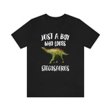 Just A Boy Who Loves Stegosaurus Dinosaur Shirt, Stegosaurus Shirt, Dinosaur Shirt, Dinosaur Lover Gift, Animal Adult Kids T-Shirt Image 1