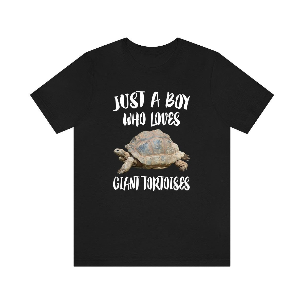 Just A Boy Who Loves Giant Tortoises Shirt, Giant Tortoise Lover Shirt, Giant Tortoise Shirt, Turtle Lover Gift, Animal Adult Kids T-Shirt Image 1
