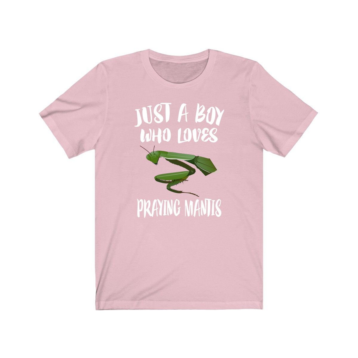 Just A Boy Who Loves Praying Mantis Shirt - praying mantis print design