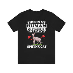 This is my human costume I am really a sphynx cat funny tee