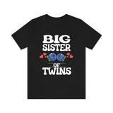 Big Sister Of Twins Shirt, Big Sister Of Twins Gift, Sister Of Twins Shirt, Blueberries New Baby Announcement T-Shirt Image 1