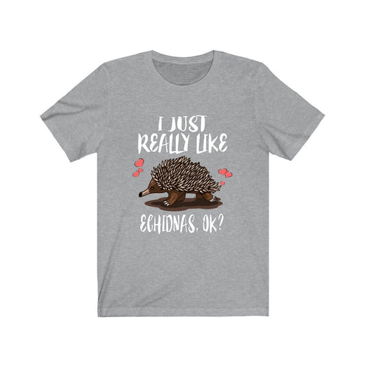 I Just Really Like Echidnas OK Shirt - echidna print design