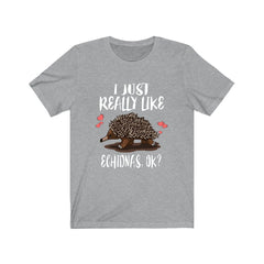 I Just Really Like Echidnas OK Shirt - echidna print design