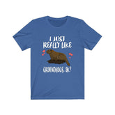 I Just Really Like Groundhogs Ok Shirt, Groundhog Lover Shirt, Groundhog Animal Lover Adult Toddler Infant Kids Gift T-Shirt Image 1