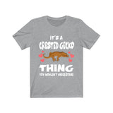 It's A Crested Gecko Thing Lizards Shirt, Gecko Lover Shirt, Crested Gecko Gift, Pet Lizard Shirt, Adult Kids Animal T-Shirt Image 3