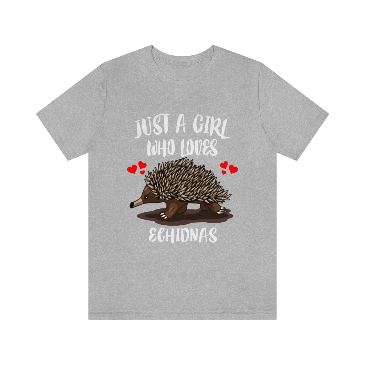 Just A Girl Who Loves Echidnas Shirt, Echidna Lover Gift, Echidna Shirt, Animal Lover Adult Toddler Infant Kids Gift T-Shirt Image 1