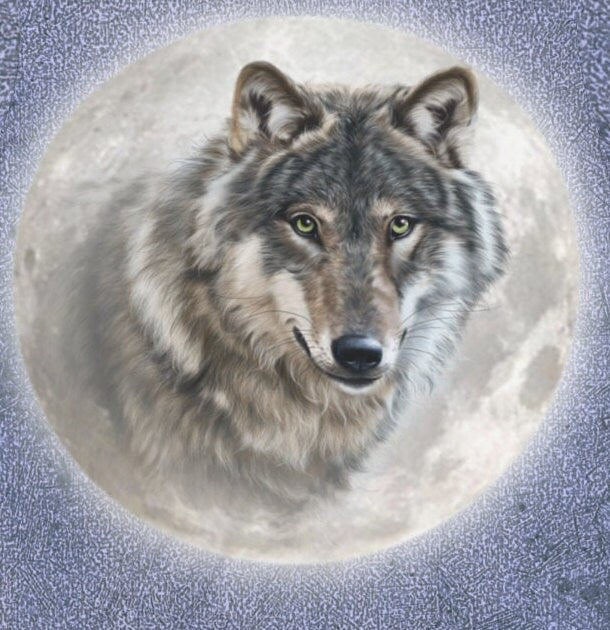 Grey Wolf Moon T-Shirt - grey wolf and moon print design