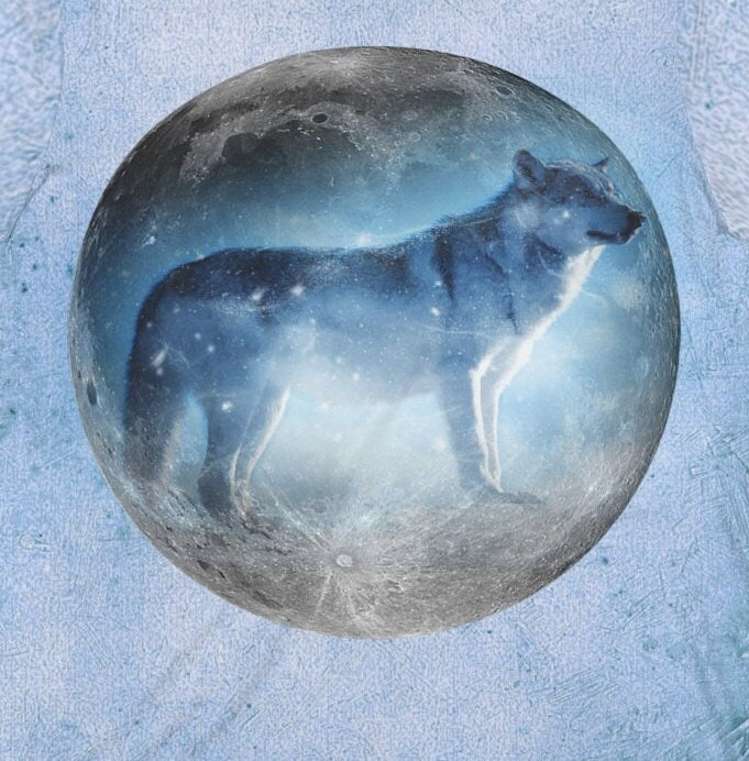 Moon Wolf Howling T-Shirt - wolf and moon print design