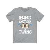 Big Brother Of Twins Hedgehogs Shirt, Big Brother Of Twins Gift, Brother Of Twins Announcement T-Shirt Image 1
