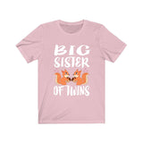 Big Sister Of Twins Squirrels Shirt, Big Sister Of Twins Gift, Twins Sister Gift, Big Sister Of Twins Announcement T-Shirt Image 4