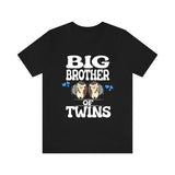 Big Brother Of Twins Hedgehogs Shirt, Big Brother Of Twins Gift, Brother Of Twins Announcement T-Shirt Image 2