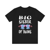 Big Sister Of Twins Elephants Shirt, Big Sister Of Twins Gift, Twins Sister Gift, Big Sister Of Twins Announcement T-Shirt Image 1