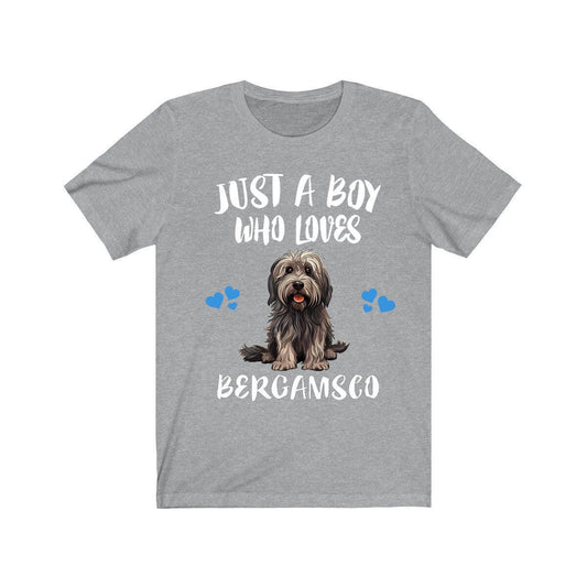 Just a boy who loves Bergamasco Italian alpine sheepdog tee