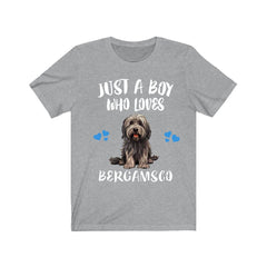 Just a boy who loves Bergamasco Italian alpine sheepdog tee