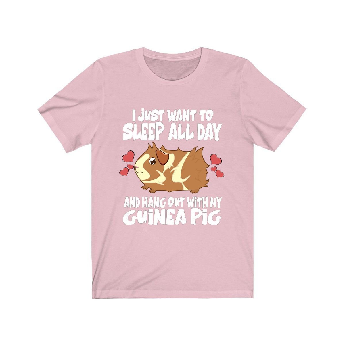 Sleep All Day Hang Out With My Guinea Pig Funny Shirt, Guinea Pig Owner Shirt, Guinea Pig Lover Gift, Guinea Pig Tee, Animal T-Shirt Image 4