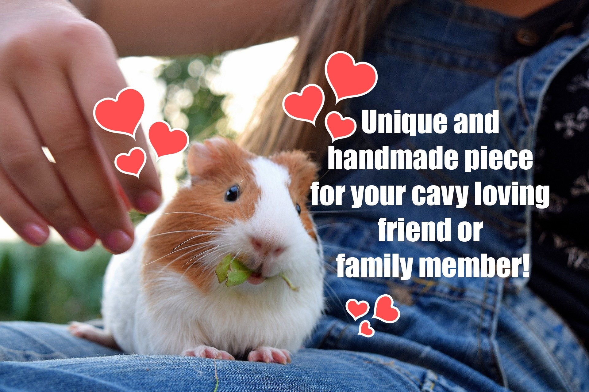 Proud Guinea Pig Mom Owner Shirt, Guinea Pig Owner Shirt, Guinea Pig Lover Gift, Guinea Pig Tee, Animal Shirt Image 5