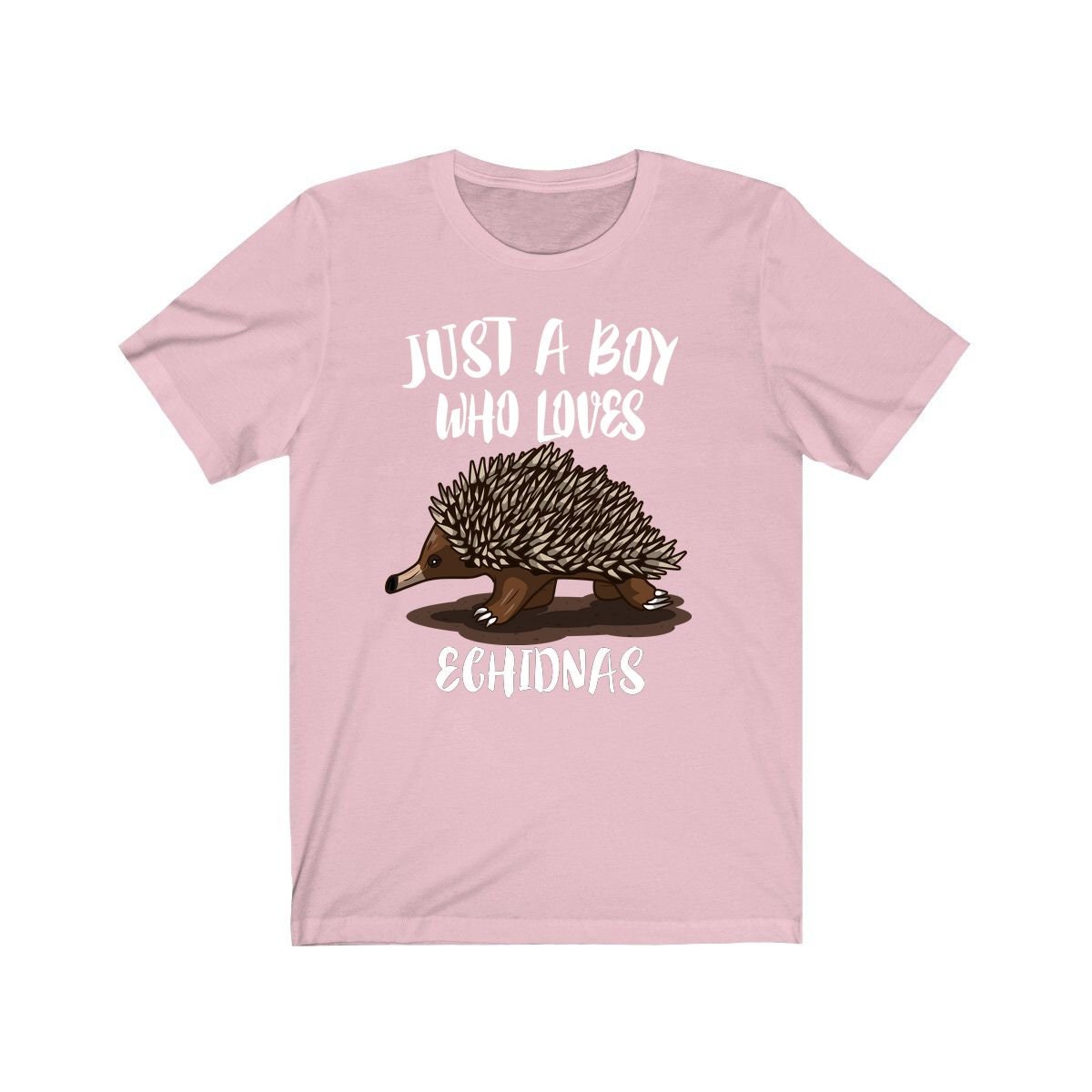 Just A Boy Who Loves Echidnas Shirt, Echidna Lover Shirt, Echidna Shirt, Echidna Gift, Animal Adult Kids T-Shirt Image 4