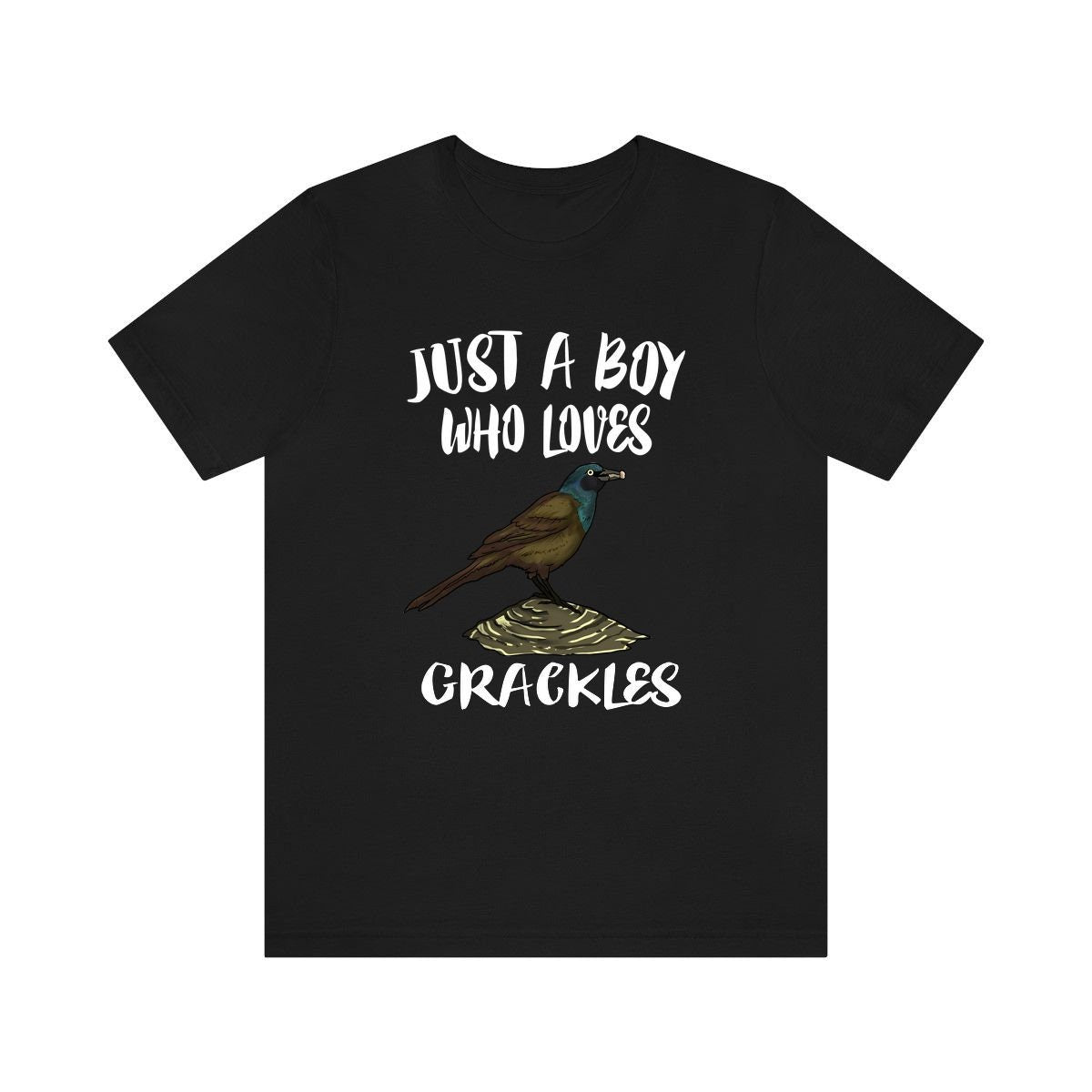 Just A Boy Who Loves Grackles Bird Shirt, Grackle Lover Shirt, Birding Shirt, Bird Gift, Animal Adult Kids T-Shirt Image 3