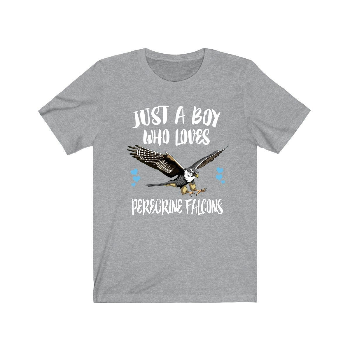 Just A Boy Who Loves Peregrine Falcons Shirt, Peregrine Falcon Lover Shirt, Falcon Shirt, Bird Lover Gift, Animal Adult Kids T-Shirt Image 2