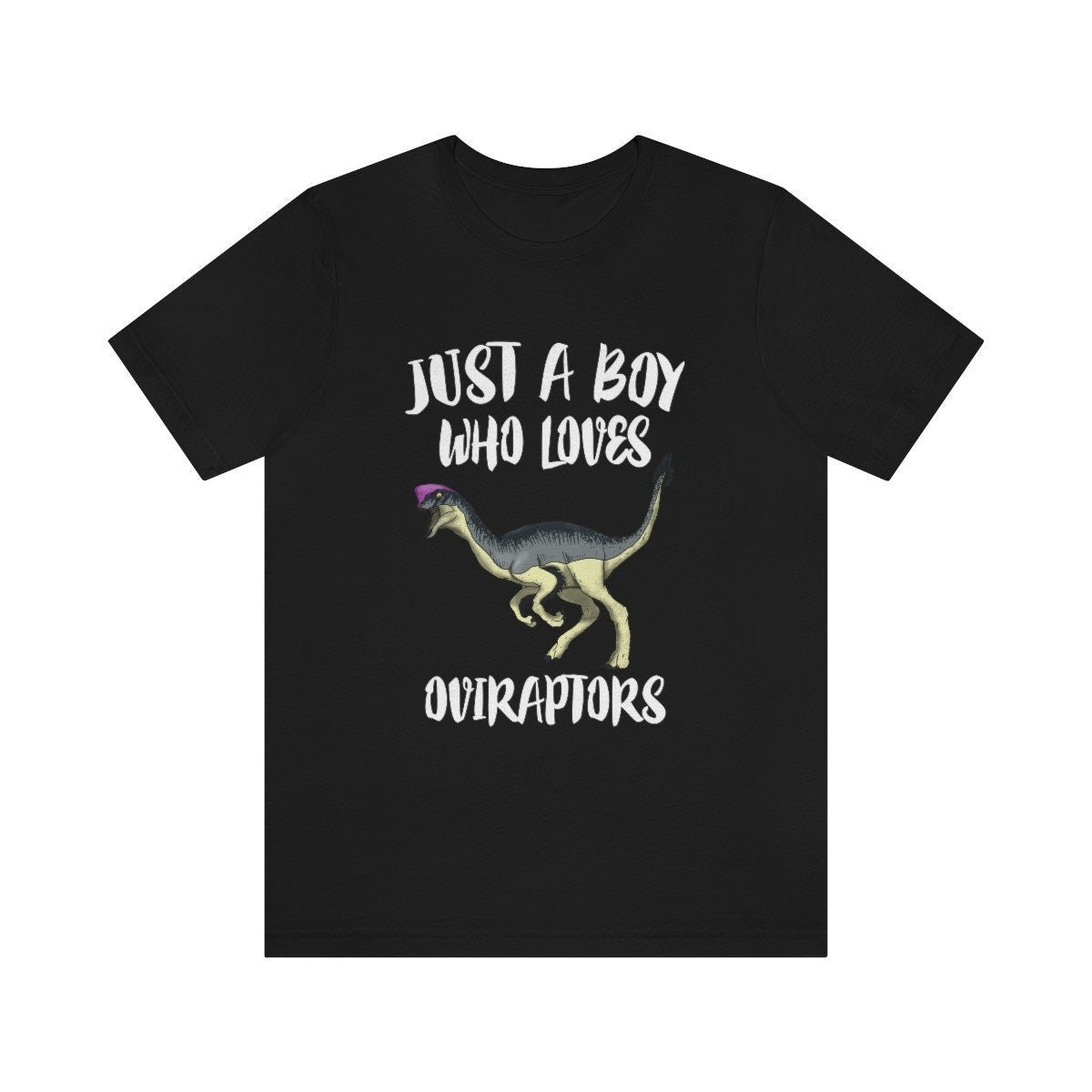 Just A Boy Who Loves Oviraptors Dinosaur Shirt, Oviraptor Lover Shirt, Oviraptor Shirt, Dinosaur Lover Gift, Animal Adult Kids T-Shirt Image 2