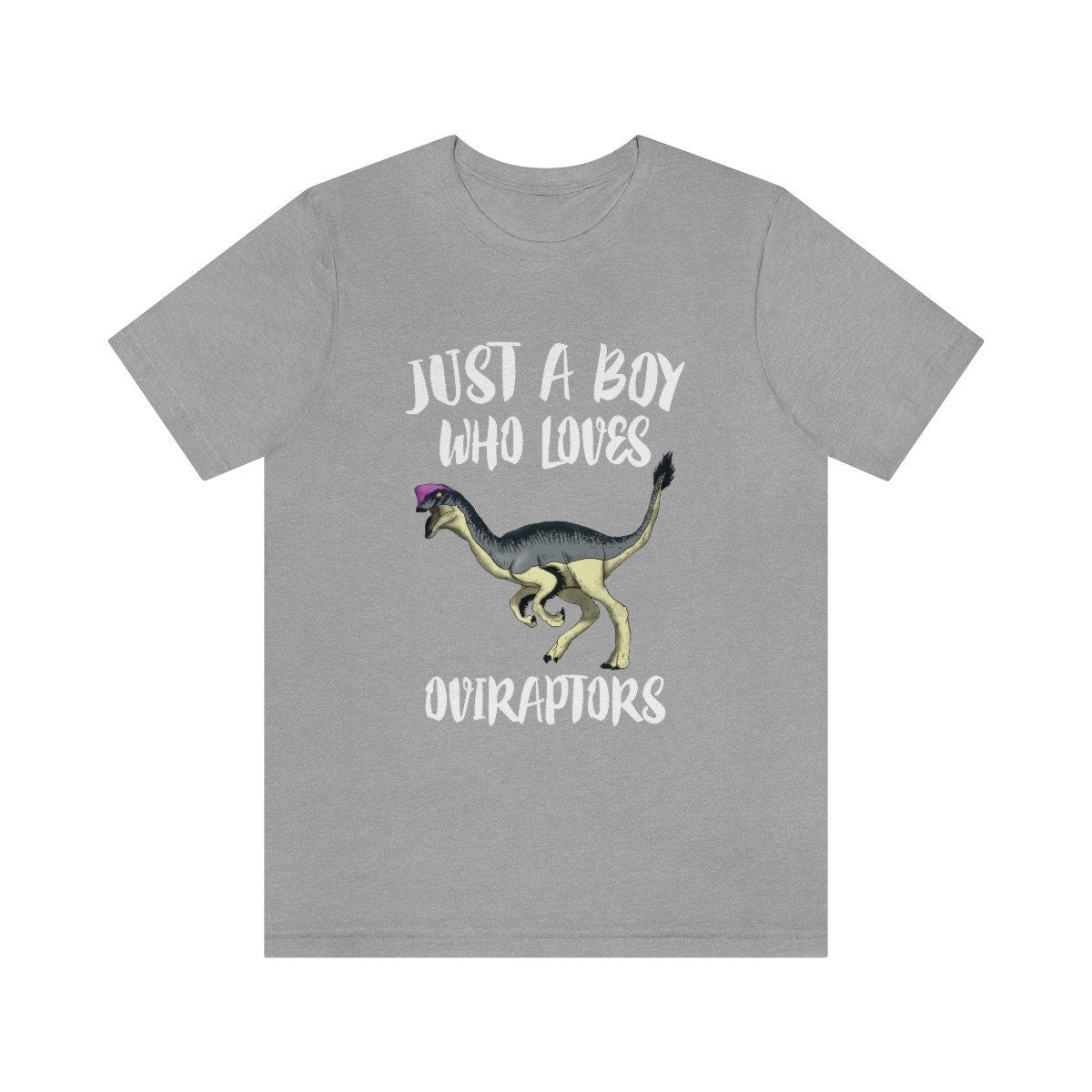 Just A Boy Who Loves Oviraptors Dinosaur Shirt, Oviraptor Lover Shirt, Oviraptor Shirt, Dinosaur Lover Gift, Animal Adult Kids T-Shirt Image 1