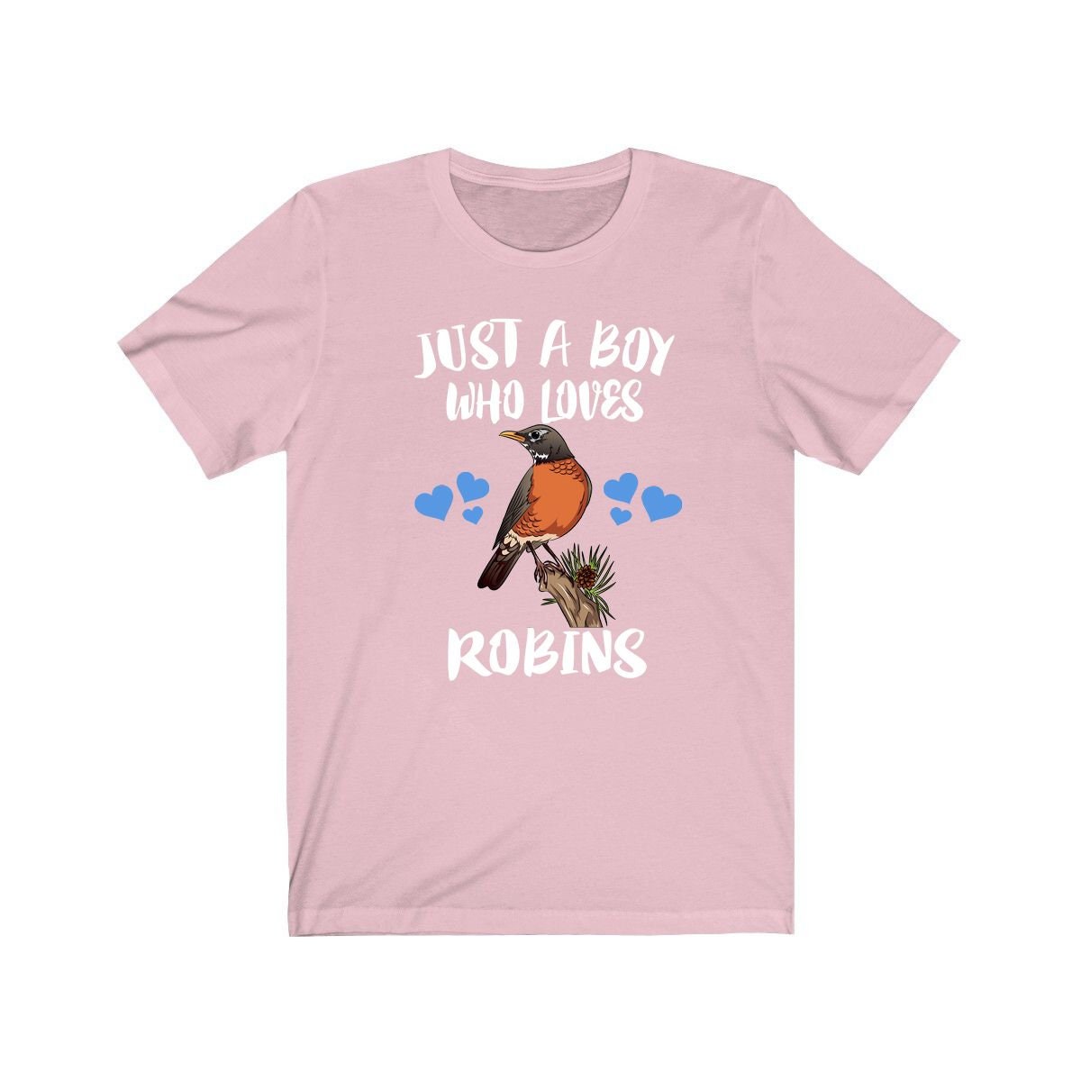 Just A Boy Who Loves Robins Birds Shirt, Robin Lover Shirt, Birding Shirt, Bird Lover Gift, Animal Adult Kids T-Shirt Image 4
