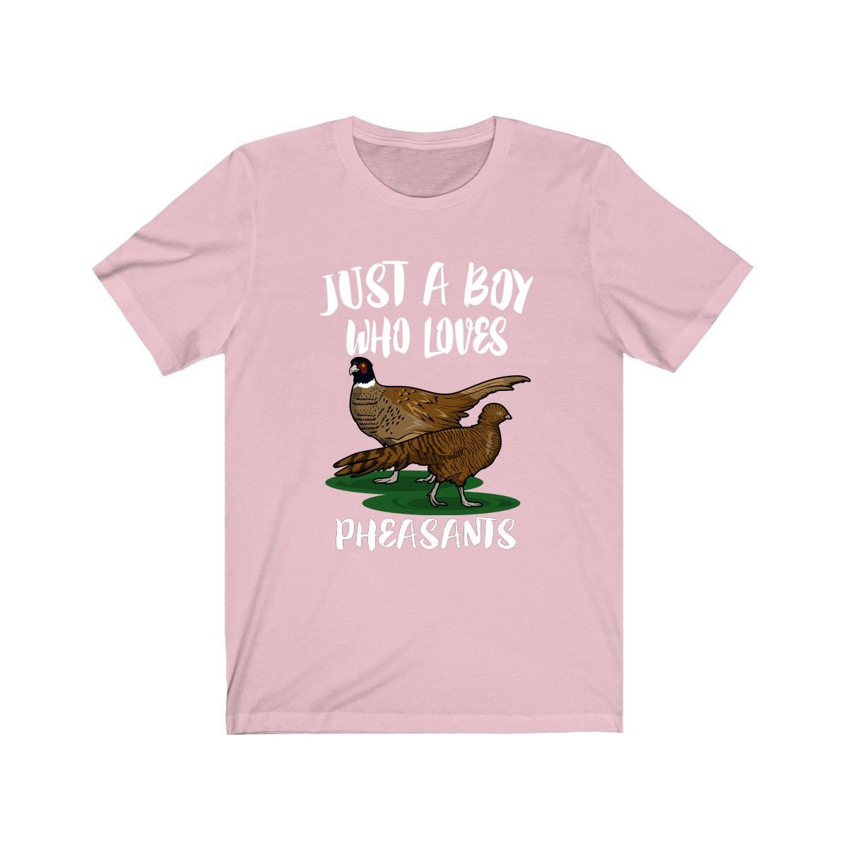 Just A Boy Who Loves Pheasants Birds Shirt, Pheasant Lover Shirt, Birding Shirt, Pheasant Lover Gift, Animal Adult Kids T-Shirt Image 4