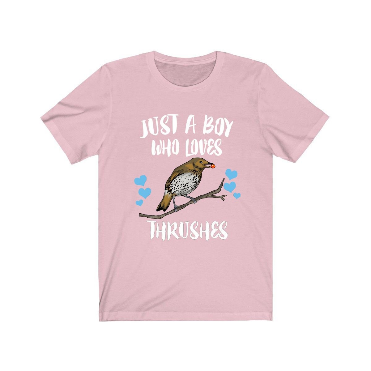 Just A Boy Who Loves Thrushes Shirt, Thrush Lover Shirt, Birding Shirt, Bird Lover Gift, Animal Adult Kids T-Shirt Image 3