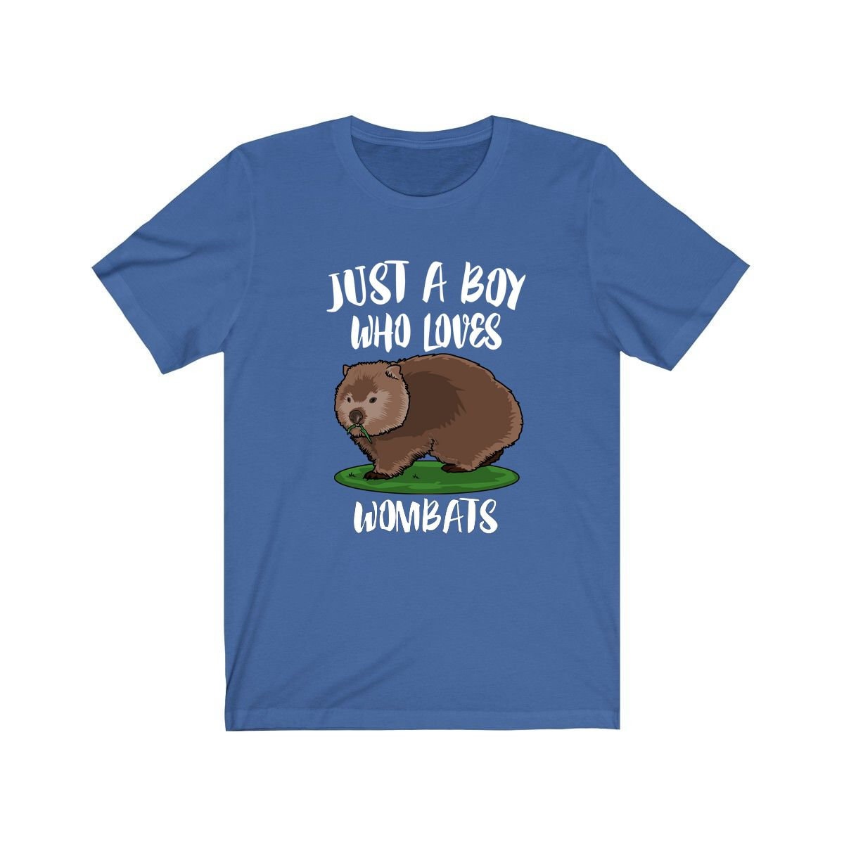 Just A Boy Who Loves Wombats Shirt, Wombat Lover Shirt, Wombat Shirt, Wombat Lover Gift, Animal Adult Kids T-Shirt Image 2