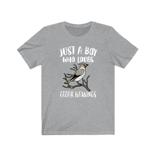 Cedar Waxwing Boy T-Shirt - cedar waxwing bird print design