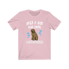 Just a boy who loves goldendoodles golden retriever poodle hybrid tee