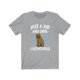 Just A Boy Who Loves Goldendoodles Dogs Shirt, Goldendoodle Lover Shirt, Dog Shirt, Goldendoodle Lover Gift, Animal Adult Kids T-Shirt Image 2