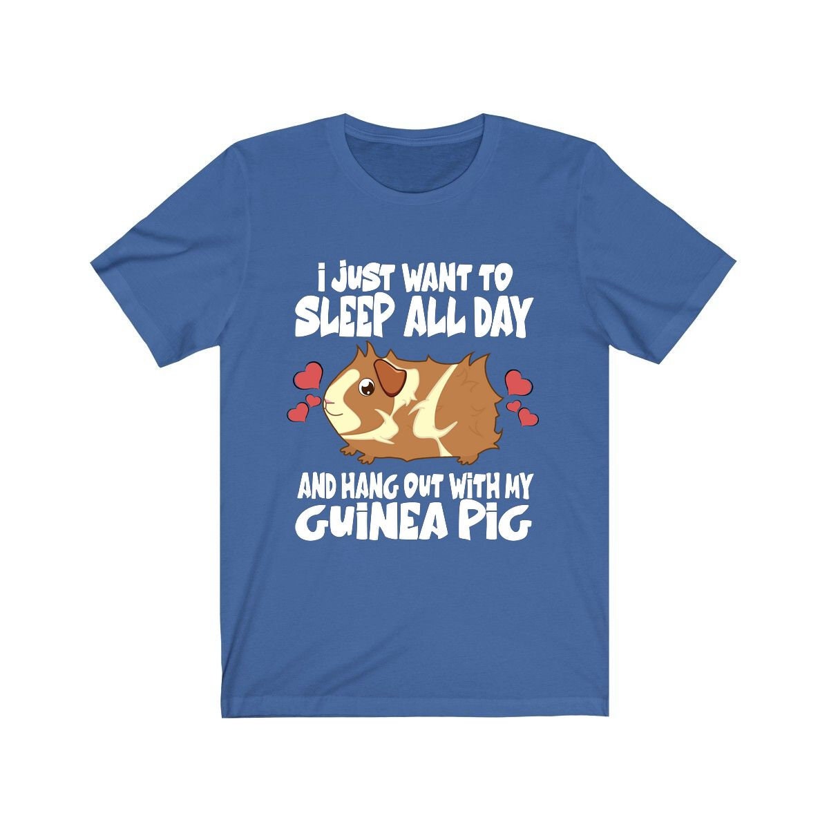 Sleep All Day Hang Out With My Guinea Pig Funny Shirt, Guinea Pig Owner Shirt, Guinea Pig Lover Gift, Guinea Pig Tee, Animal T-Shirt Image 3