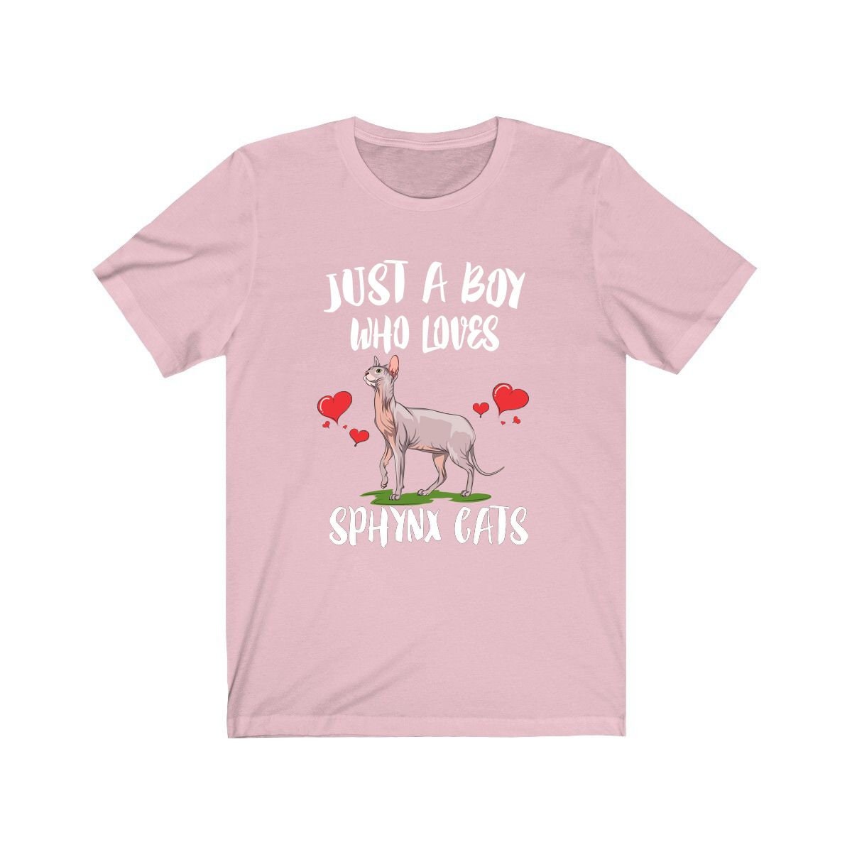 Just A Boy Who Loves Sphynx Cats Shirt, Sphynx Cat Lover Shirt, Sphynx Cat Shirt, Cat Lover Gift, Animal Adult Kids T-Shirt Image 4