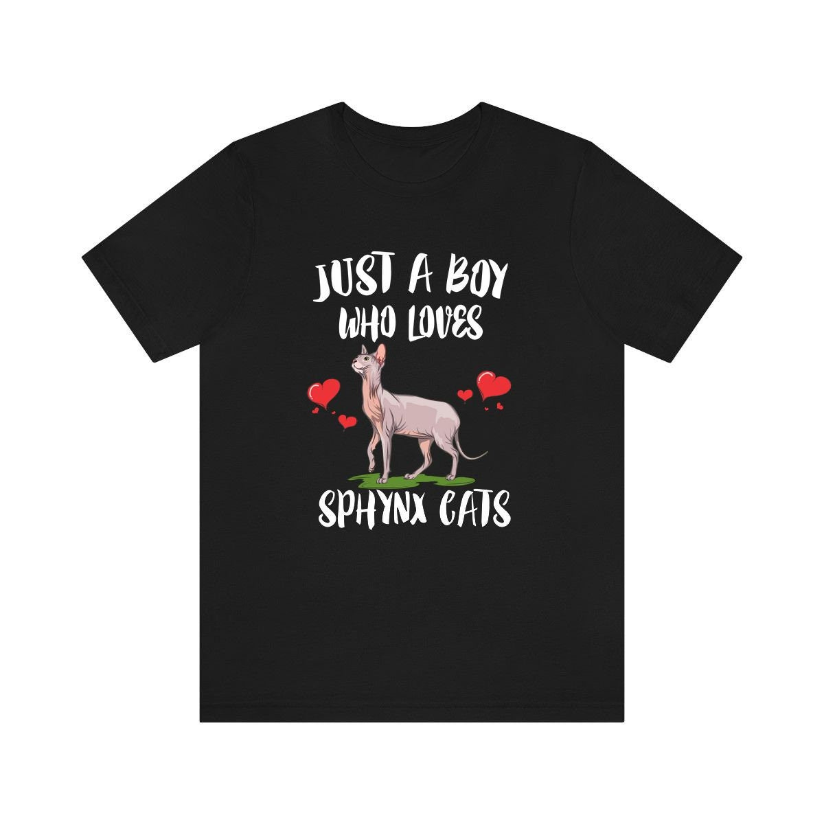 Just A Boy Who Loves Sphynx Cats Shirt, Sphynx Cat Lover Shirt, Sphynx Cat Shirt, Cat Lover Gift, Animal Adult Kids T-Shirt Image 1