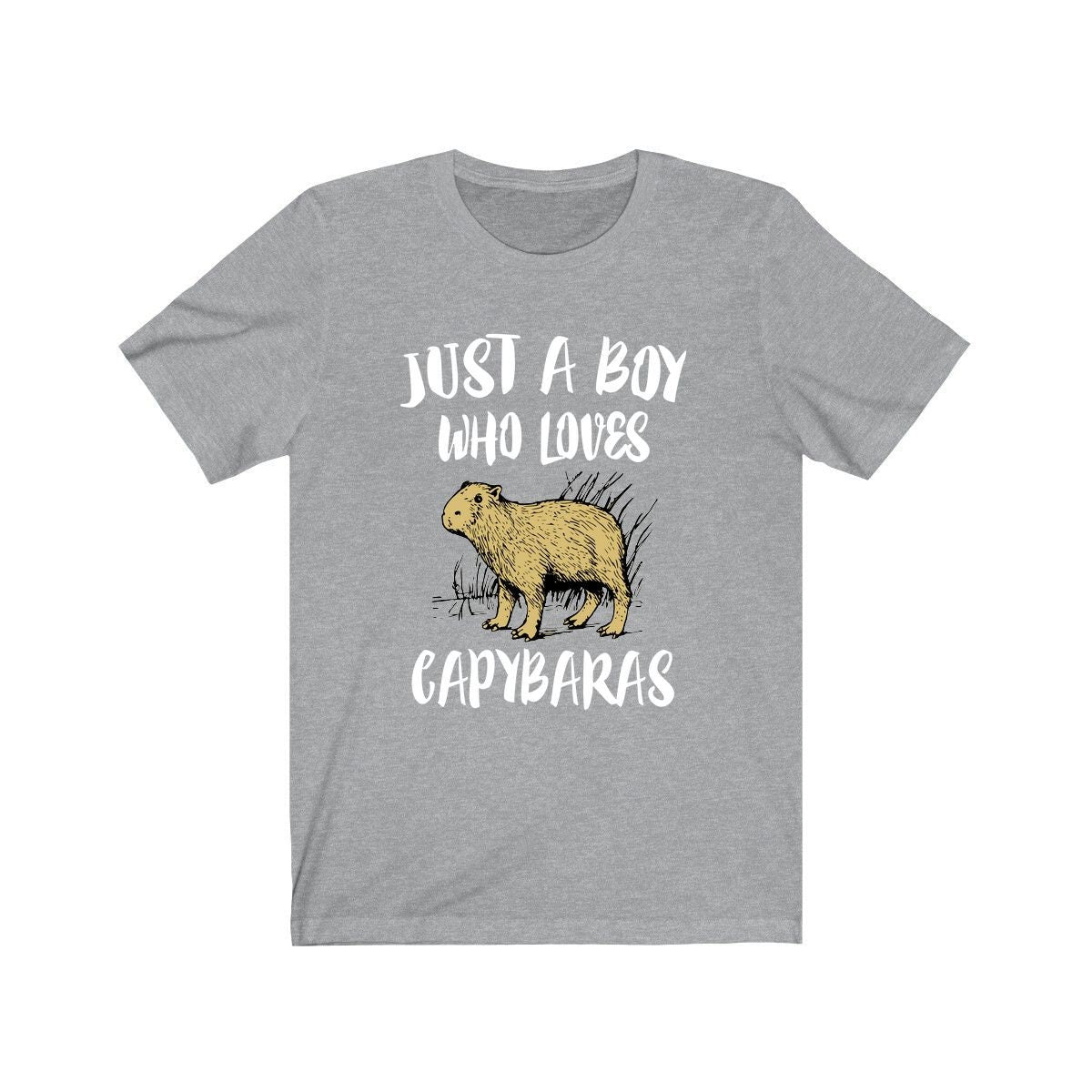 Just A Boy Who Loves Capybaras Shirt, Capybara Lover Shirt, Capybara Shirt, Capybara Lover Gift, Animal Adult Kids T-Shirt Image 2