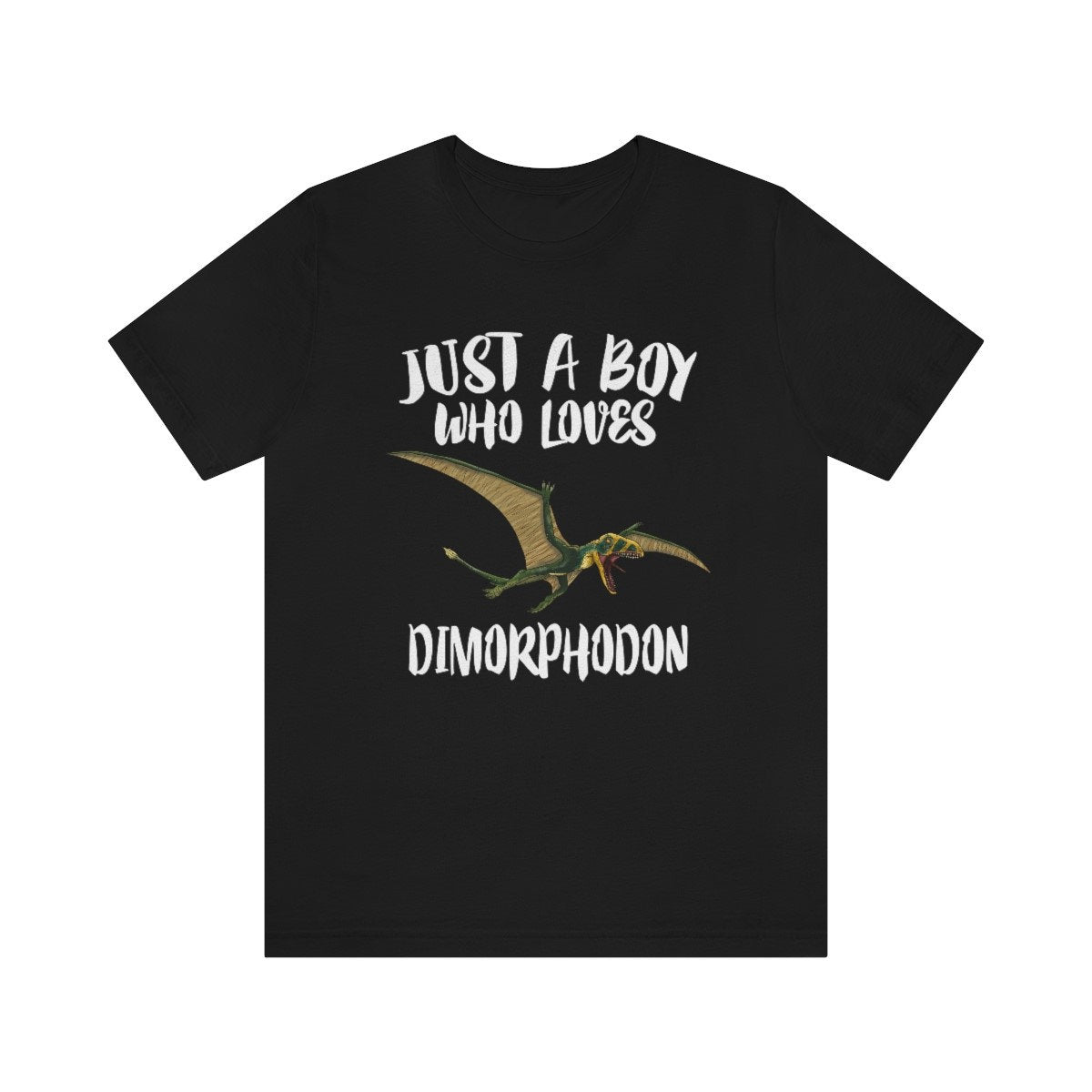 Just A Boy Who Loves Dimorphodon Dinosaur Shirt, Dimorphodon Lover Shirt, Dinosaur Shirt, Pterosaur Lover Gift, Animal Adult Kids T-Shirt Image 1