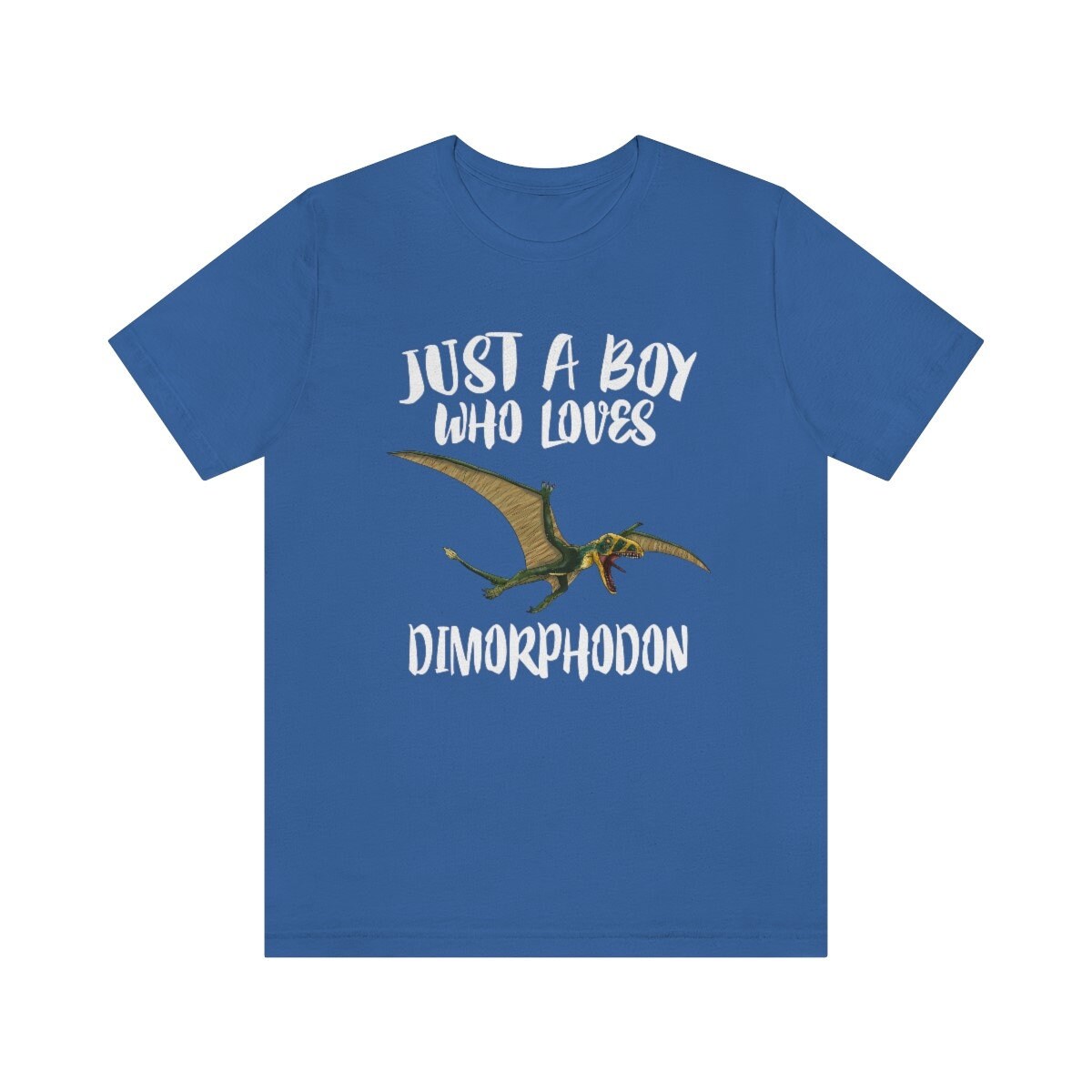 Just A Boy Who Loves Dimorphodon Dinosaur Shirt, Dimorphodon Lover Shirt, Dinosaur Shirt, Pterosaur Lover Gift, Animal Adult Kids T-Shirt Image 2