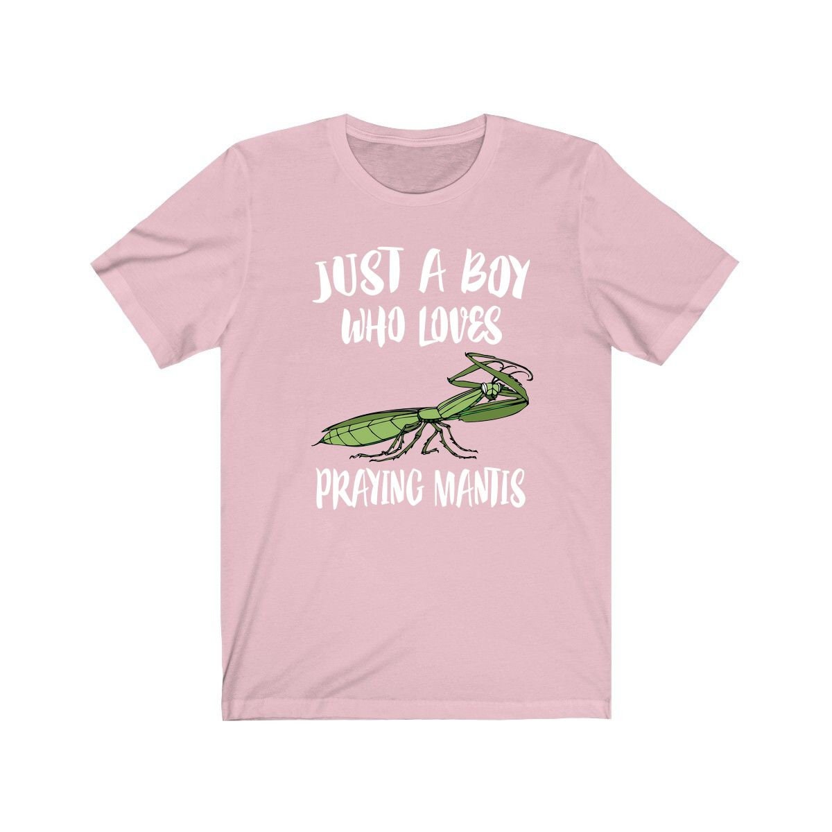 Just A Boy Who Loves Praying Mantis Shirt, Praying Mantis Lover Shirt, Praying Mantis Shirt, Praying Mantis Lover Gift, Animal Shirt Image 4