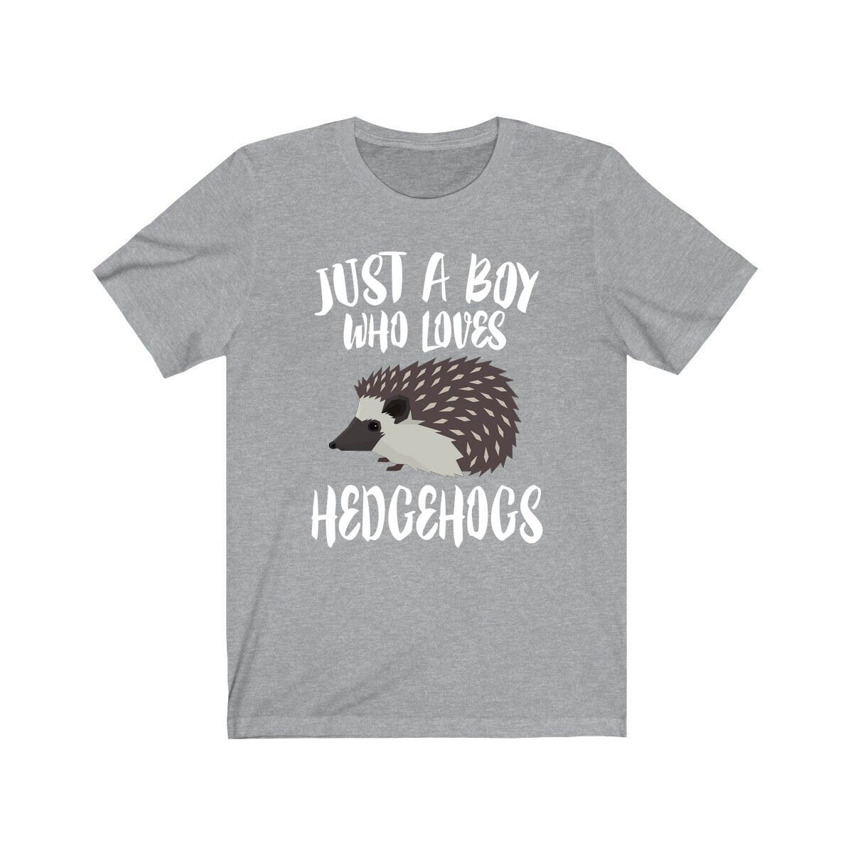 Just A Boy Who Loves Hedgehogs Shirt, Hedgehog Lover Shirt, Hedgehog Shirt, Hedgehog Lover Gift,  Adult Toddler Infant Kids Gift T-Shirt Image 1